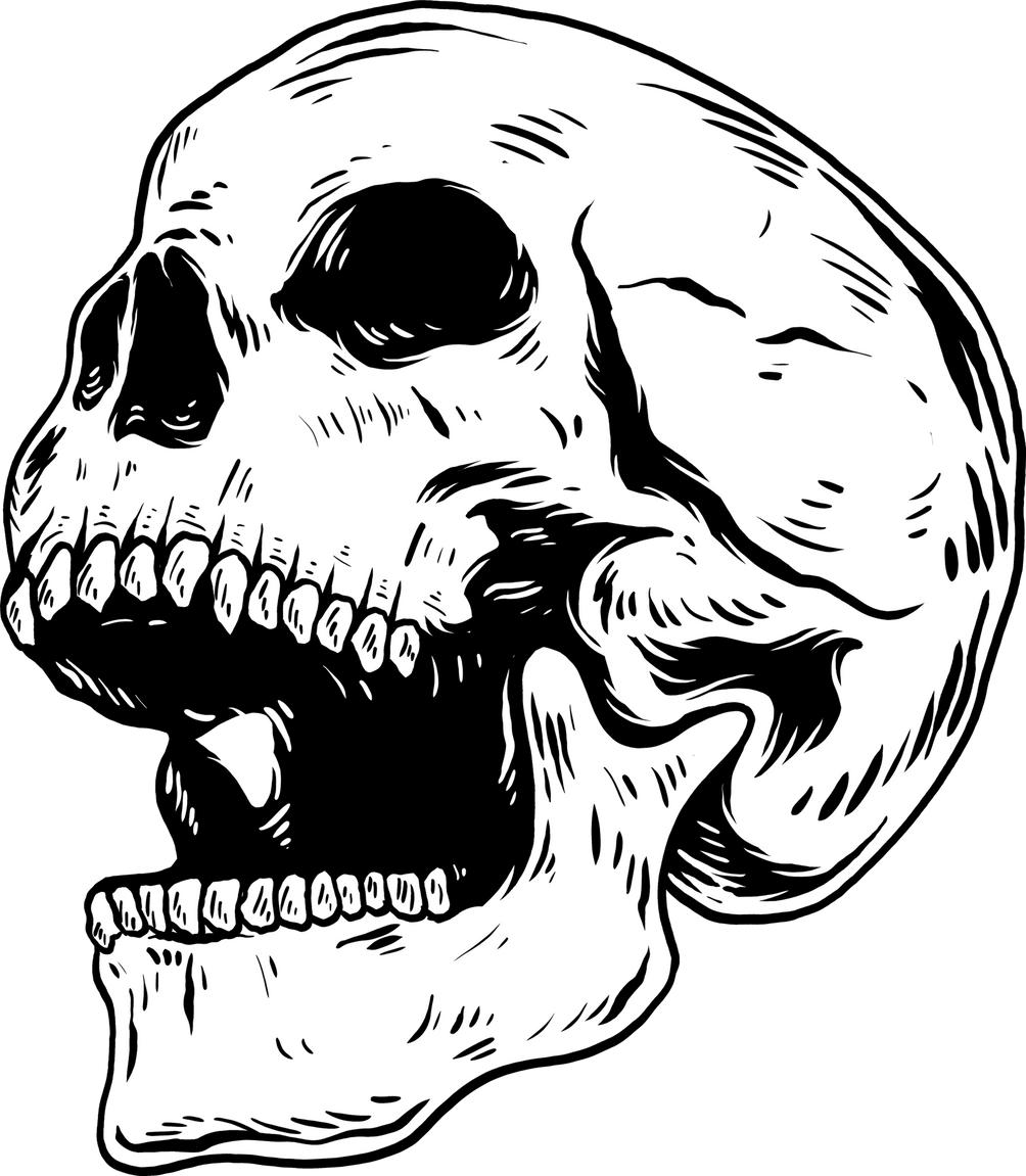 Head Skull Illustration